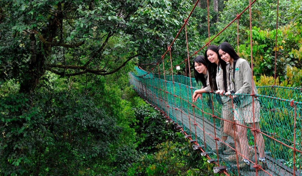 Canopy-Walkway-images-6.
